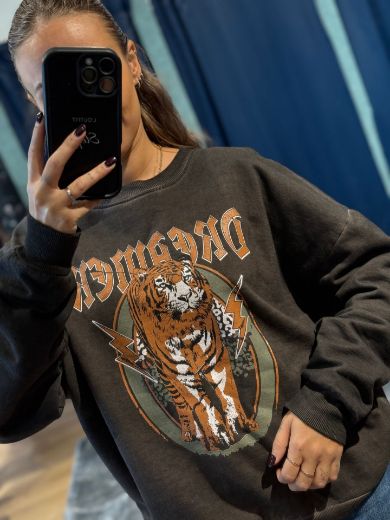 Immagine di FELPA DREAMER