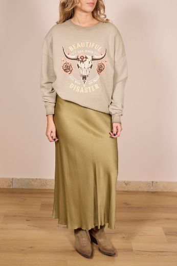 Immagine di FELPA TEXAS - Disponibile in GRIGIO, FANGO