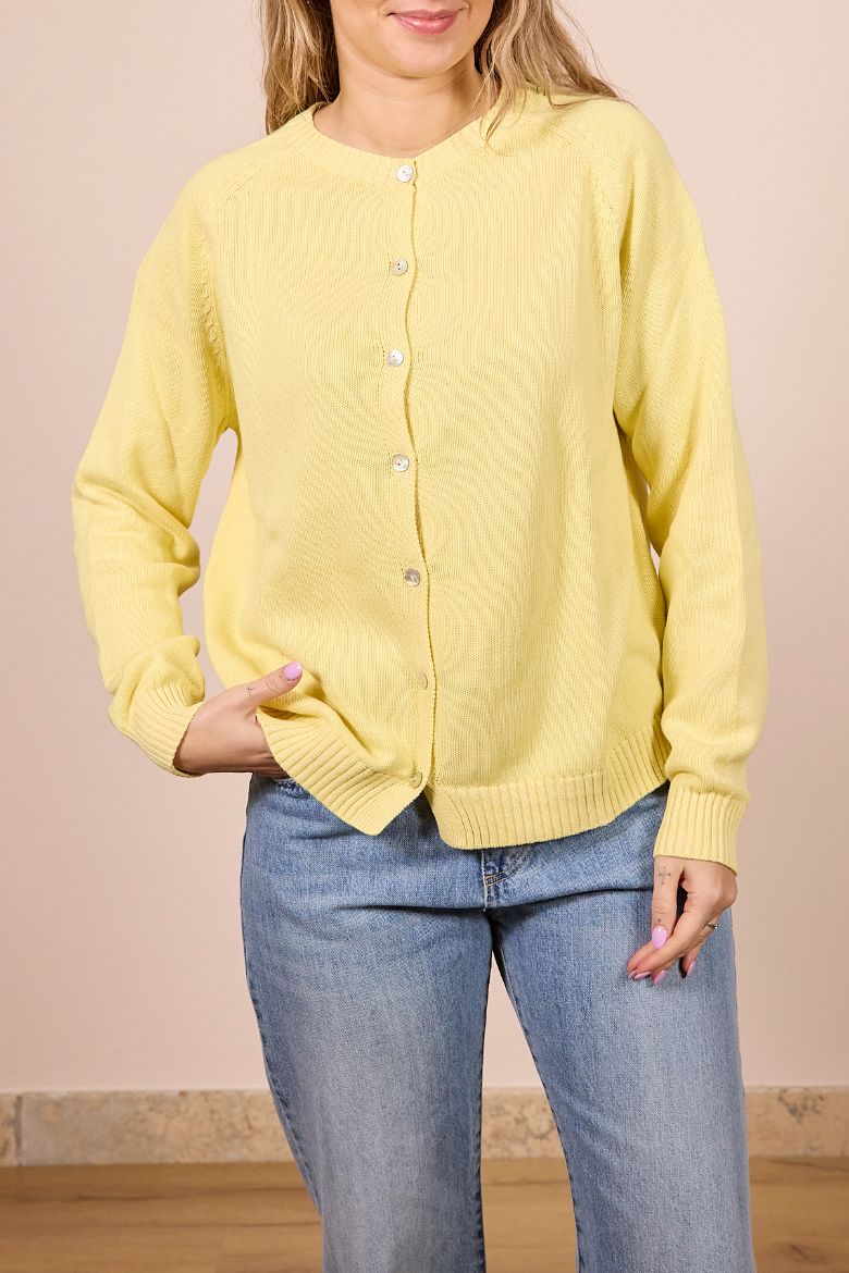 Immagine di CARDIGAN DAISY