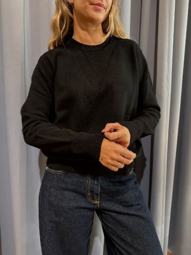 Immagine di MAGLIONE GIROCOLLO 100% LANA