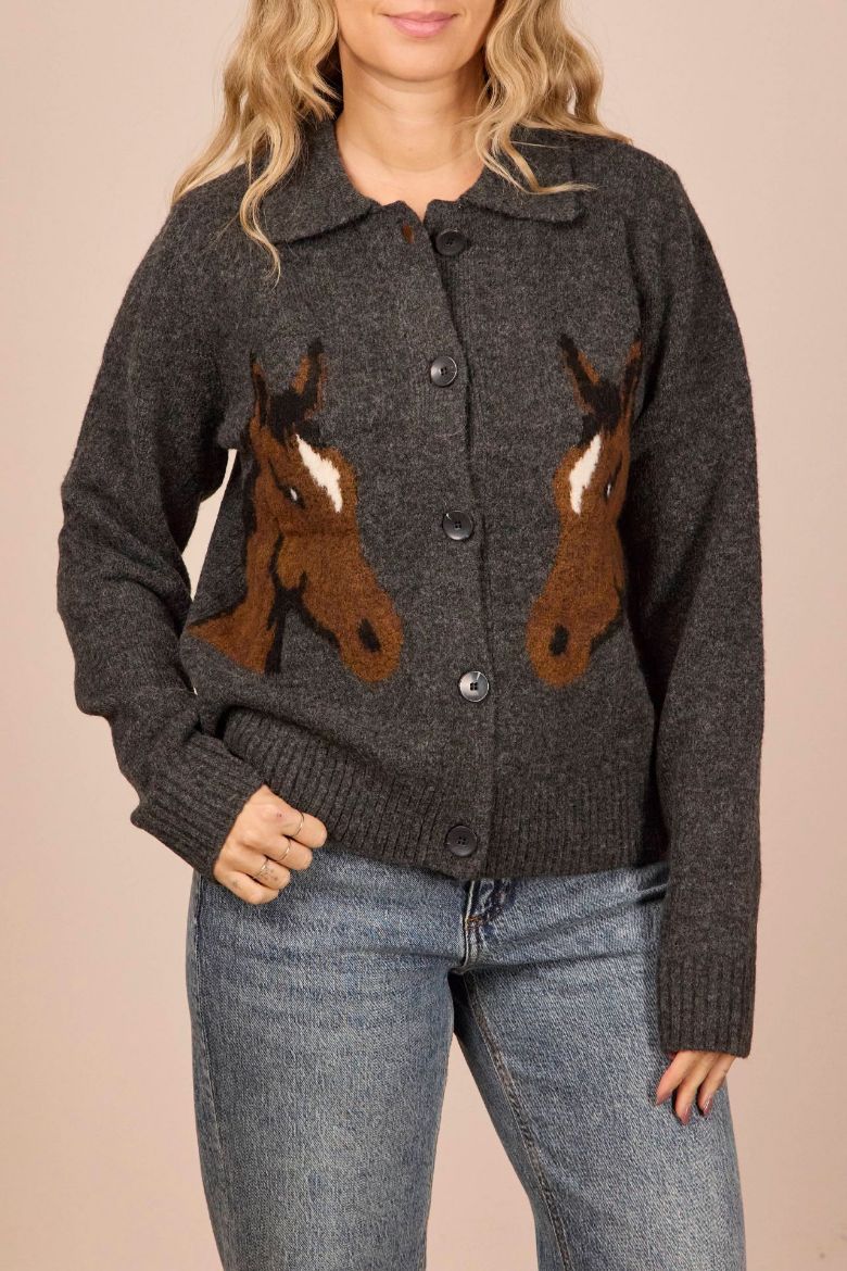 Immagine di CARDIGAN HORSES